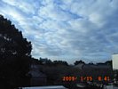 20090115_084141.jpg