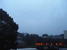 20090203_084141.jpg