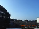 20090205_084141.jpg