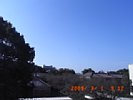 20090301_091221.jpg