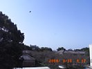 20090316_091221.jpg