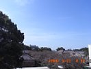 20090321_091221.jpg