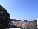 20090324_091221.jpg