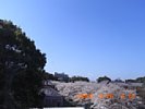 20090326_091221.jpg