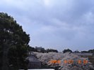 20090327_091221.jpg