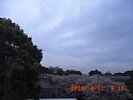 20090331_091221.jpg