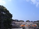 20090401_091221.jpg