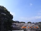 20090402_091221.jpg