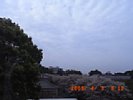 20090403_091221.jpg