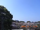 20090407_091221.jpg