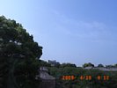 20090416_091221.jpg