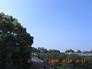 20090419_091221.jpg