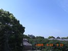 20090422_091221.jpg