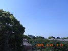 20090423_091221.jpg