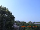 20090428_091221.jpg
