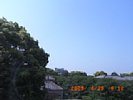 20090429_091221.jpg