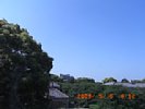 20090506_091221.jpg