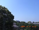 20090508_091221.jpg