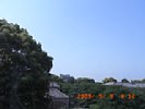 20090509_091221.jpg