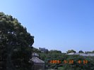 20090512_091221.jpg