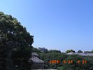 20090514_091221.jpg