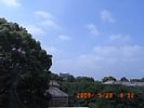 20090523_091221.jpg