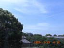 20090525_091221.jpg