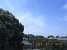 20090601_091221.jpg