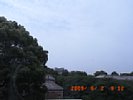20090602_091221.jpg