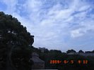 20090605_091221.jpg