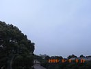 20090609_091221.jpg
