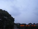 20090611_091221.jpg