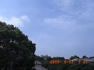 20090612_091221.jpg