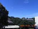 20090620_091221.jpg