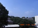 20090723_091221.jpg