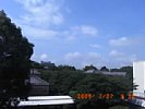 20090727_091221.jpg
