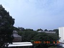 20090731_091221.jpg