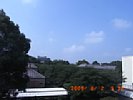 20090802_091221.jpg
