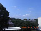 20090804_091221.jpg