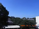 20090805_091221.jpg