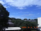 20090806_091221.jpg