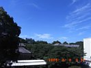 20090808_091221.jpg