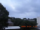 20090814_091221.jpg