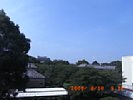 20090816_091221.jpg