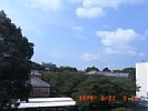 20090822_091221.jpg