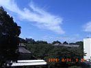 20090824_091221.jpg