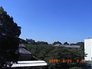 20090826_091221.jpg