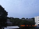 20090902_084421.jpg
