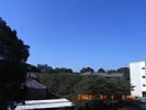 20090904_084421.jpg