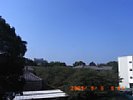 20090906_084421.jpg